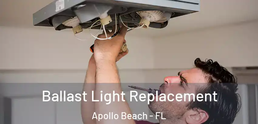  Ballast Light Replacement Apollo Beach - FL