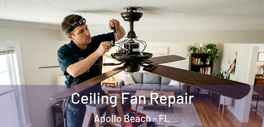  Ceiling Fan Repair Apollo Beach - FL