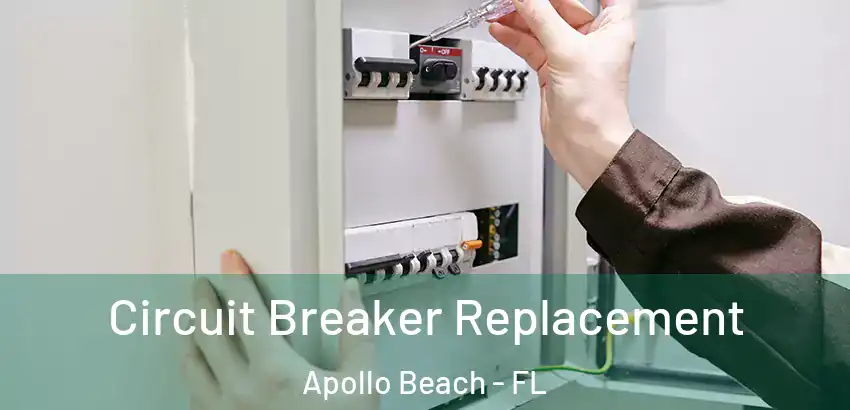Circuit Breaker Replacement Apollo Beach - FL
