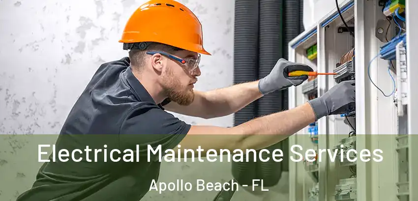 Electrical Maintenance Services Apollo Beach - FL