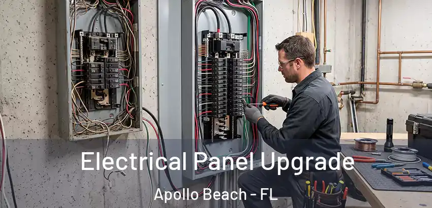 Electrical Panel Upgrade Apollo Beach - FL