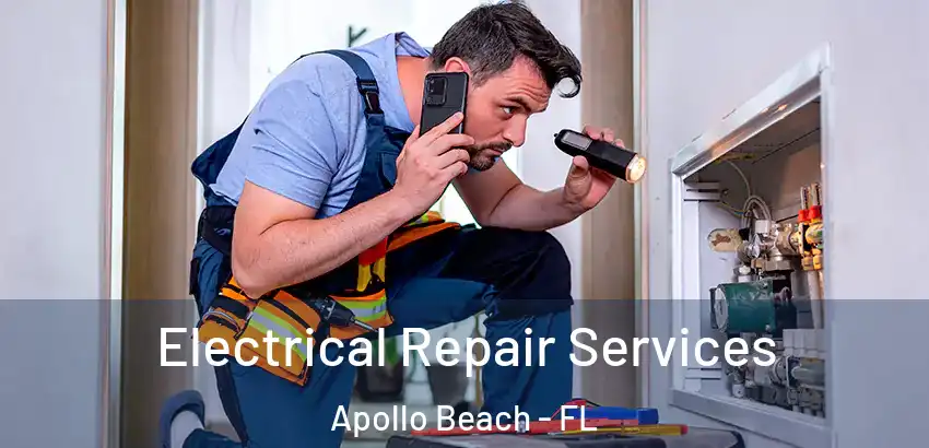 Electrical Repair Services Apollo Beach - FL