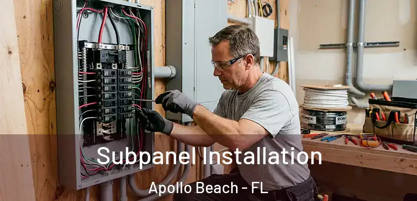  Subpanel Installation Apollo Beach - FL