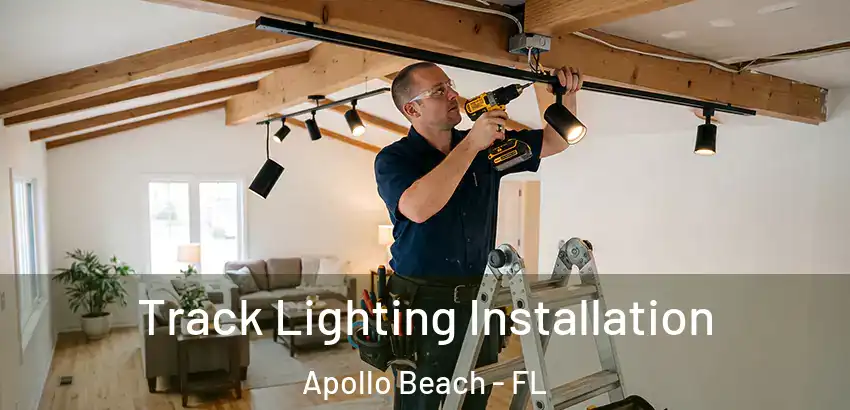  Track Lighting Installation Apollo Beach - FL