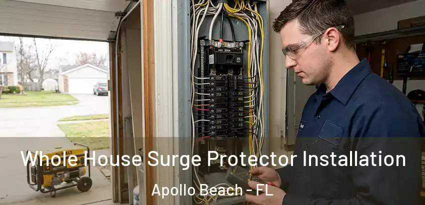  Whole House Surge Protector Installation Apollo Beach - FL